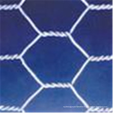 Grillage hexagonal / maille en plastique Chine fournisseur